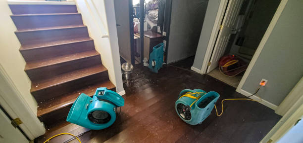 Best Carpet water damage restoration  in Coppell, TX
