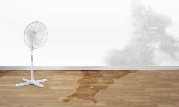 Best Water damage restoration near me  in Coppell, TX